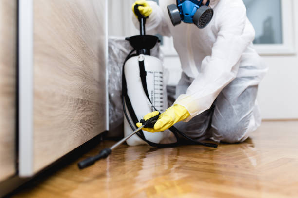 Best Bed Bug Extermination  in Mona, UT