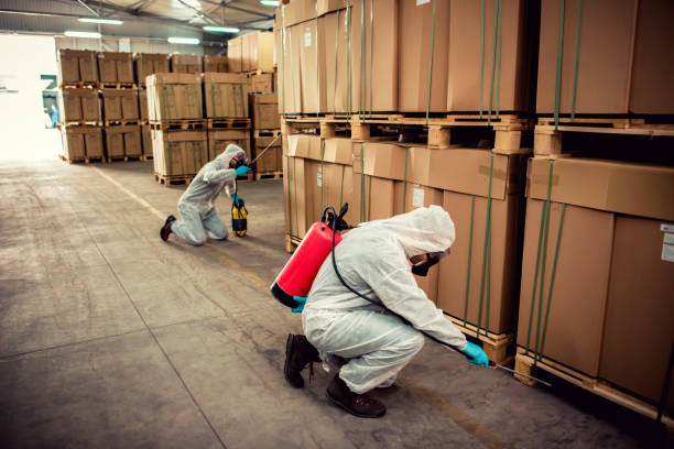 Best Termite Control Services  in Mona, UT
