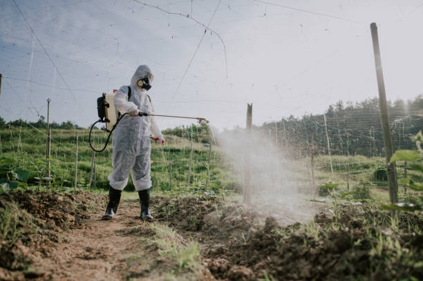 Best Pest Removal Services  in Mona, UT