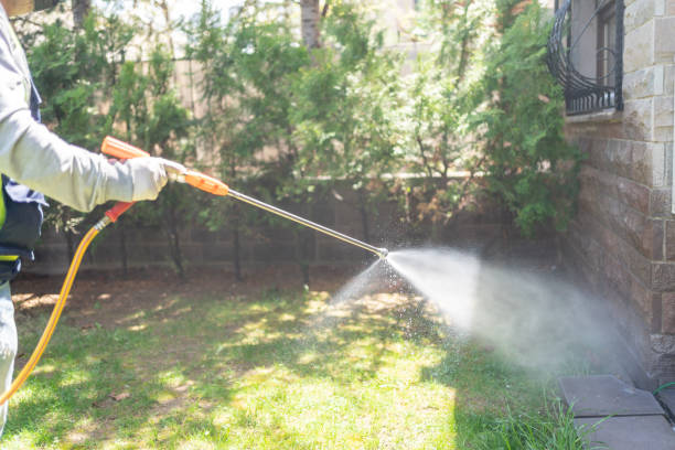 Best Termite Control Services  in Mona, UT