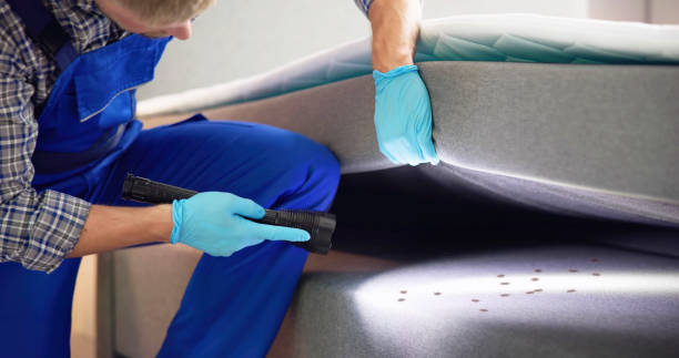 Best Best Pest Control Companies  in Mona, UT
