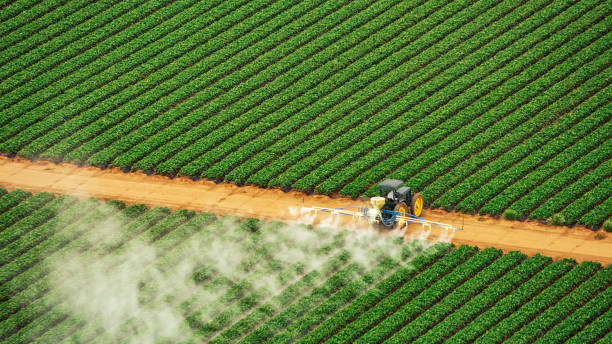 Best Commercial Pest Control Services  in Mona, UT