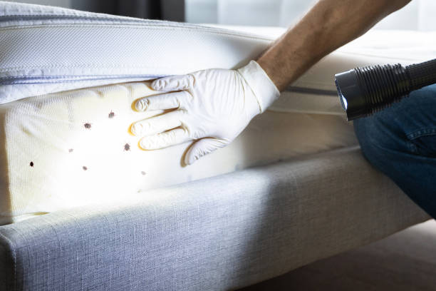 Best Wildlife Control Services  in Mona, UT