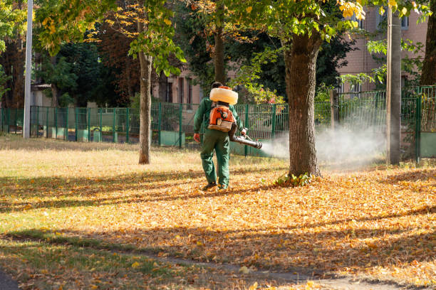 Best Wasp Removal Services  in Mona, UT