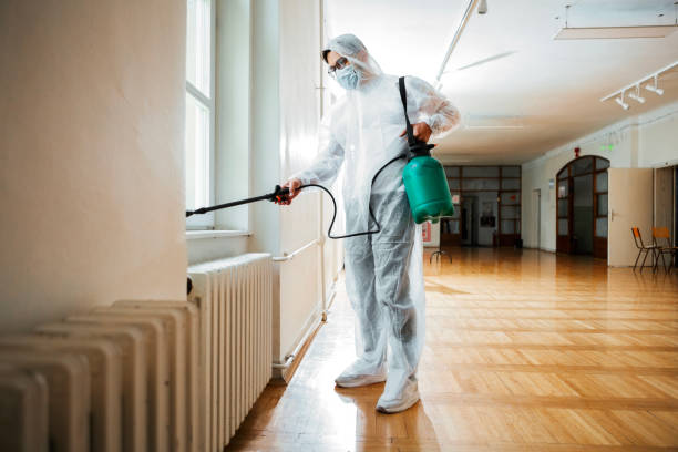 Best Flea Control Services  in Mona, UT