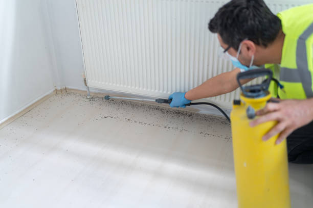 Best Affordable Pest Control Services  in Mona, UT