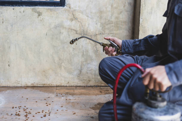 Best Residential Pest Control  in Mona, UT